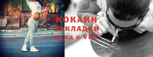 гашик Вязники