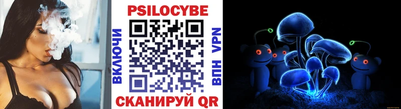 Галлюциногенные грибы Cubensis  Купить  Кувандык 